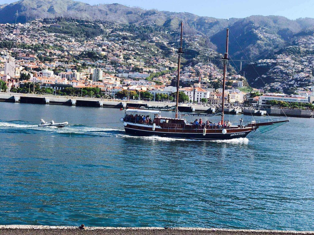 Bonita da Madeira leaving the "Marina do Funchal"