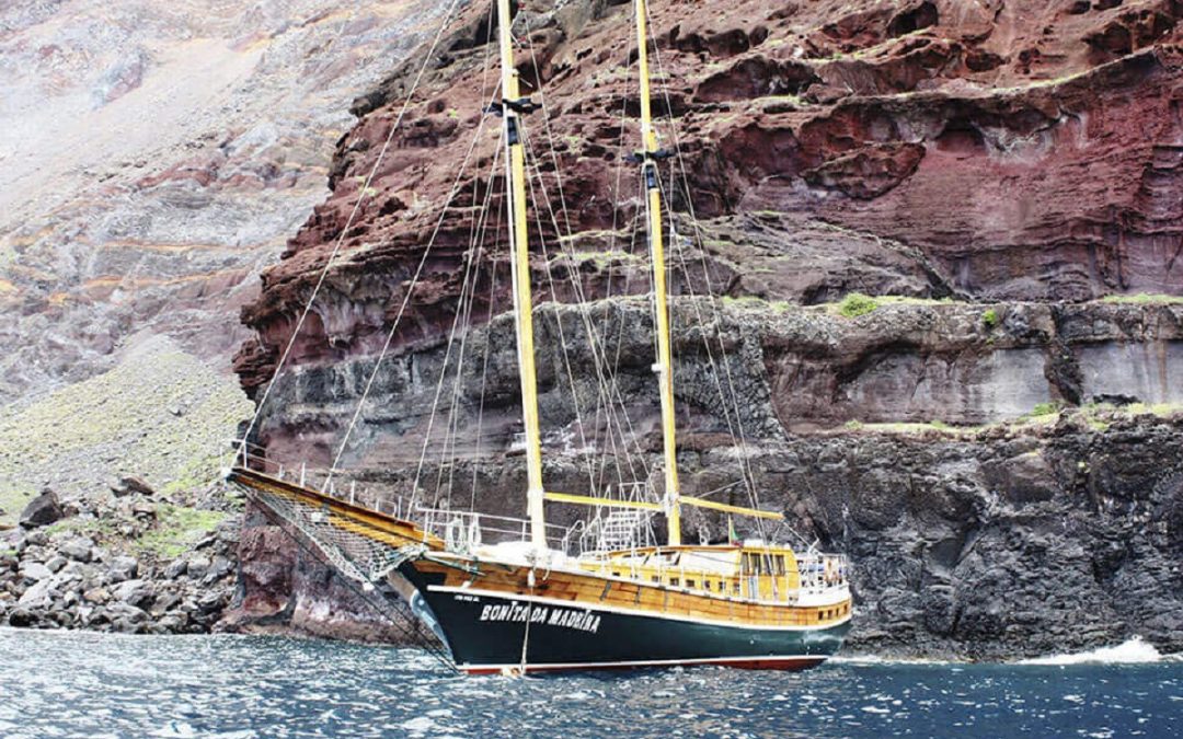 Boat Trips in Madeira: 5 Best Tours to choose from