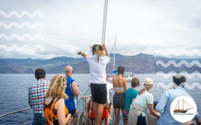 7 Reasons You Absolutely Must Take a Boat Tour in Madeira Island