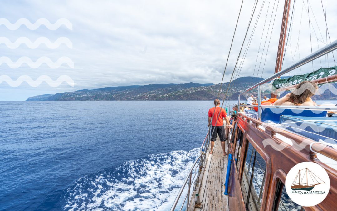 Una guía de paseos en barco en Funchal: las 7 mejores opciones para 2024
