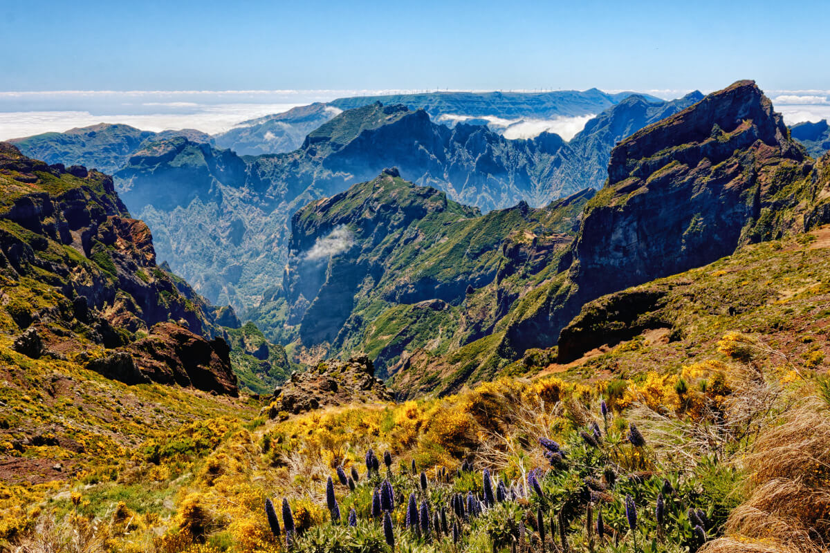madeira attractions