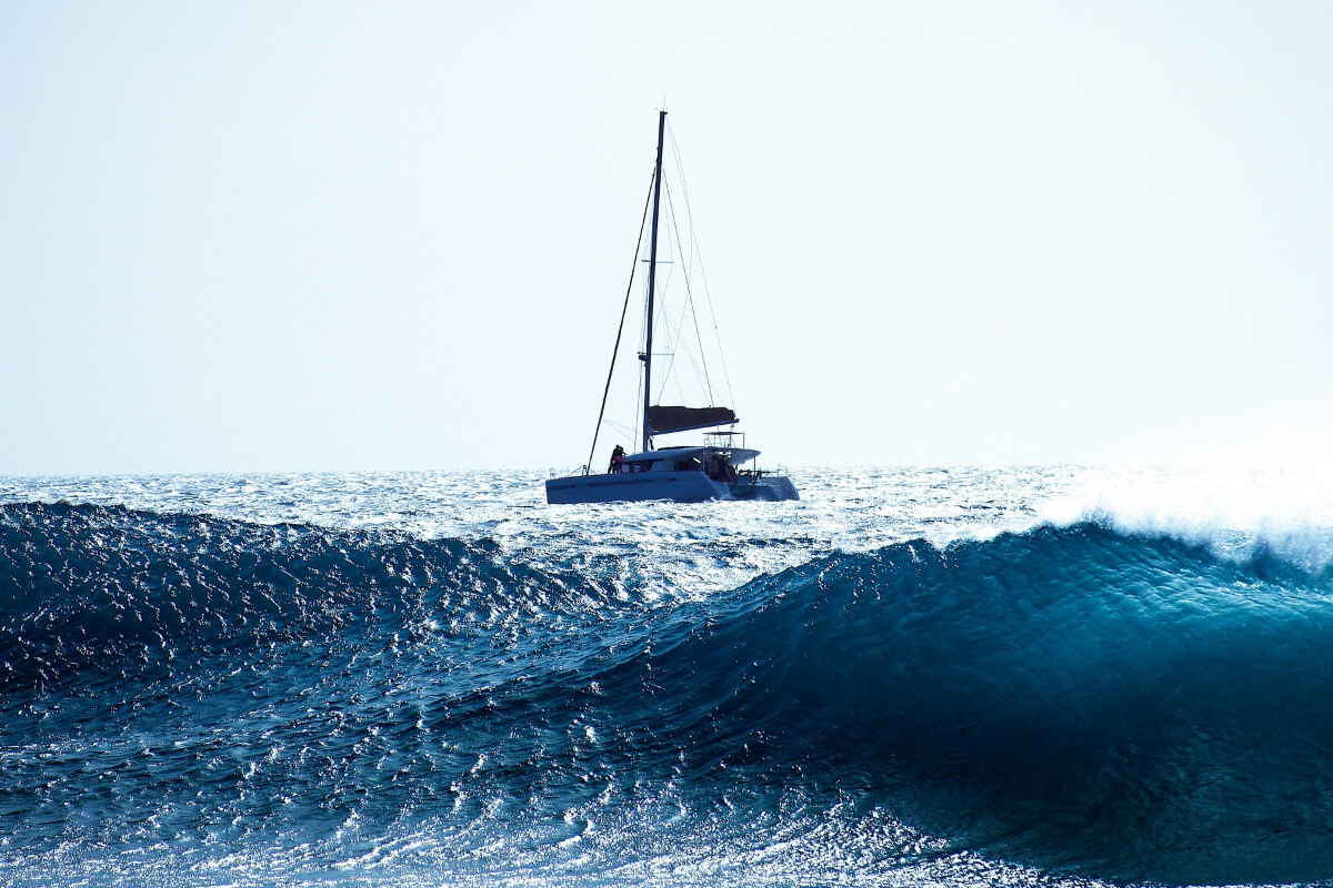 catamaran trips madeira