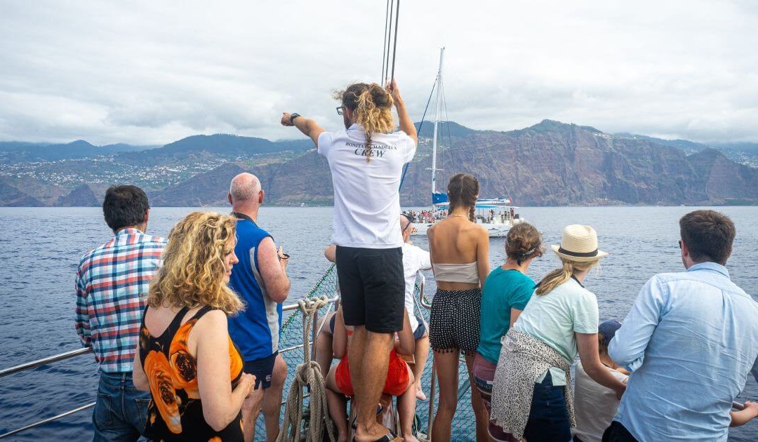 From Dolphins to Desertas: Must-Do Boat Trips in Madeira