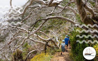 Things to Do in Madeira with Kids: Exciting Activities for Everyone