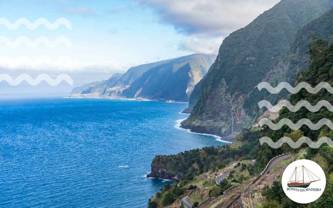 The 7 Fun Things to Do in Madeira: From Land to Sea