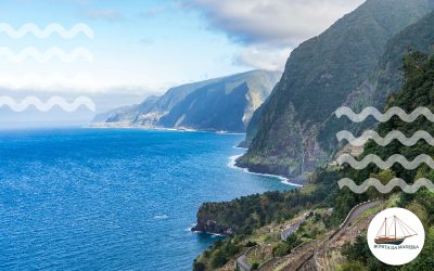 The 7 Fun Things to Do in Madeira: From Land to Sea