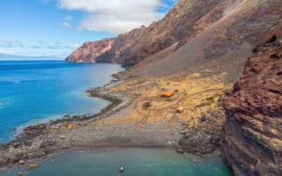 5 Top Reasons to Take a Desertas Islands Boat Trip from Madeira