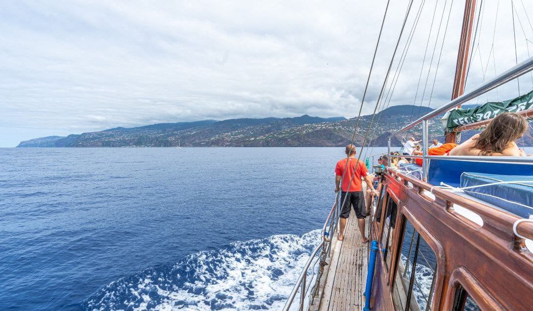 What Sea Is Madeira In? Complete Guide with Activity Tips and Marine Insights