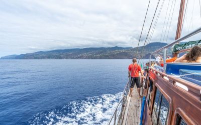 What Sea Is Madeira In? Complete Guide with Activity Tips and Marine Insights