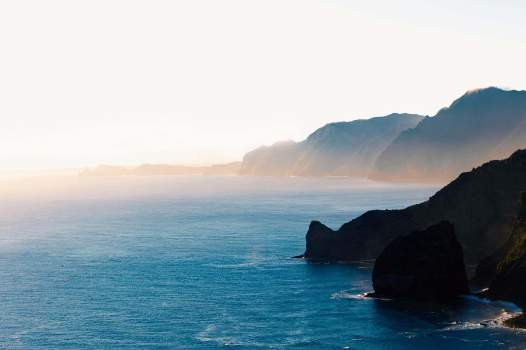 whale season madeira