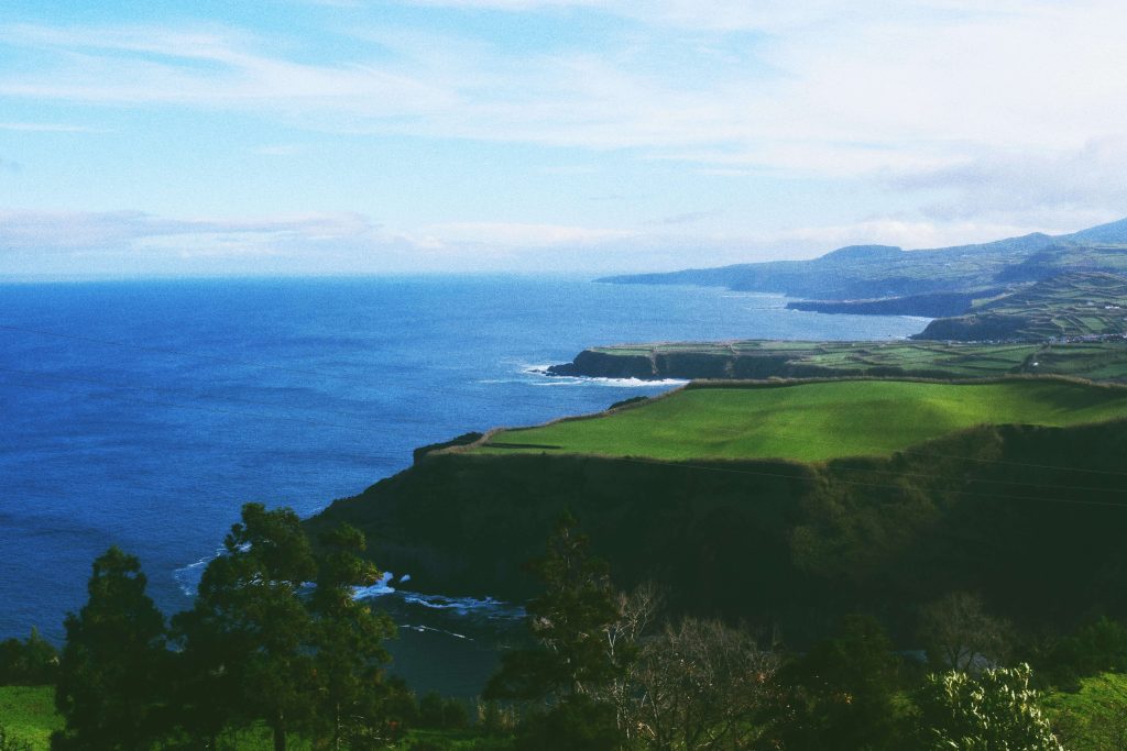 Azores whale watching