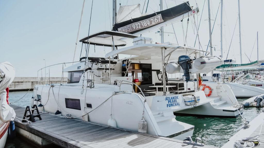 Whale Watching Companies in Madeira: Atlantic Pearl
