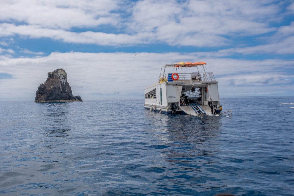 Madeira Island Activities: Jet ski rental with Madeira WaterSports